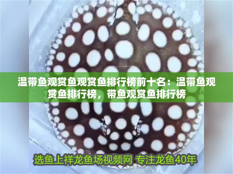 溫帶魚(yú)觀賞魚(yú)觀賞魚(yú)排行榜前十名：溫帶魚(yú)觀賞魚(yú)排行榜，帶魚(yú)觀賞魚(yú)排行榜