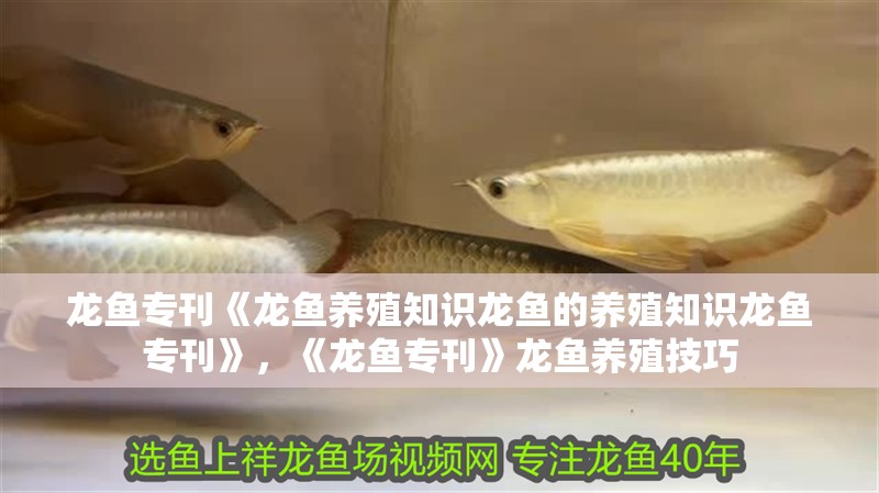 龍魚專刊《龍魚養殖知識龍魚的養殖知識龍魚專刊》，《龍魚專刊》龍魚養殖技巧