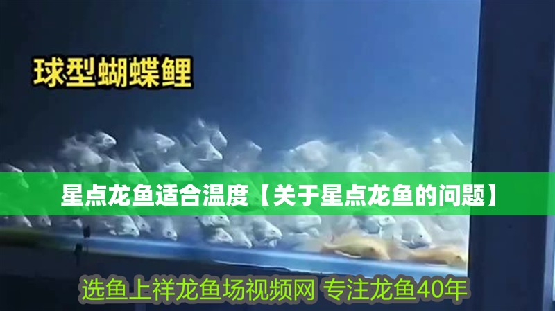 星點龍魚適合溫度【關于星點龍魚的問題】