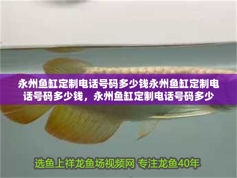 <strong><mark>永州</mark></strong>魚缸定制電話號碼多少錢<strong><mark>永州</mark></strong>魚缸定制電話號碼多少錢，<strong><mark>永州</mark></strong>魚缸定制電話號碼多少