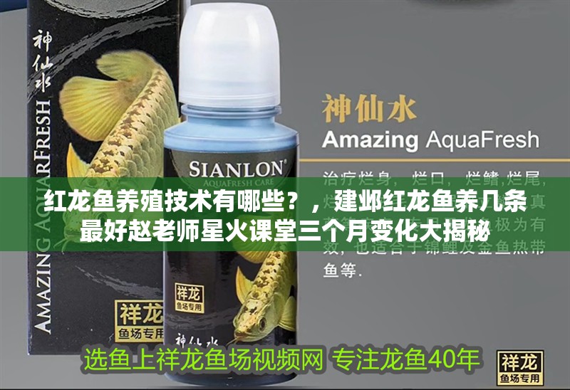 紅龍魚(yú)養(yǎng)殖技術(shù)有哪些？，建鄴紅龍魚(yú)養(yǎng)幾條最好趙老師星火課堂三個(gè)月變化大揭秘