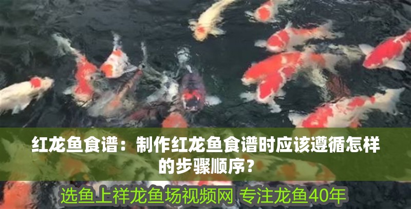 紅龍魚食譜：制作紅龍魚食譜時應該遵循怎樣的步驟順序？