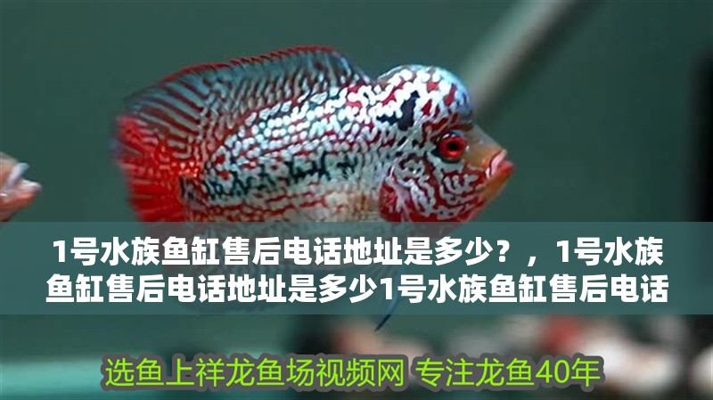 1號水族魚缸售后電話地址是多少？，1號水族魚缸售后電話地址是多少1號水族魚缸售后電話地址是多少