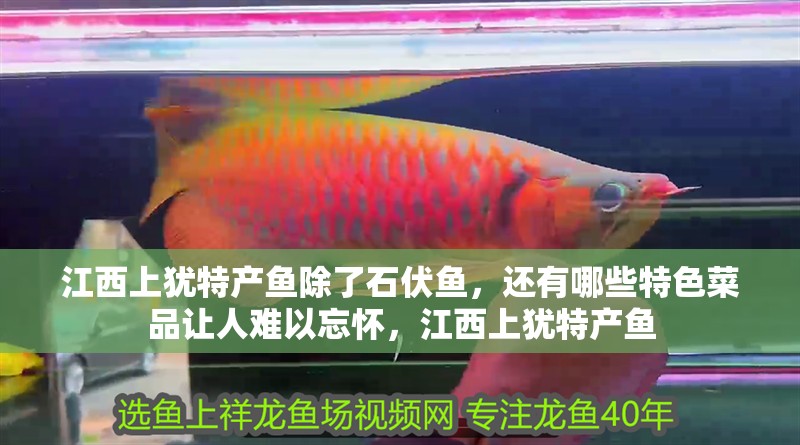 江西上猶特產魚除了石伏魚，還有哪些特色菜品讓人難以忘懷，江西上猶特產魚