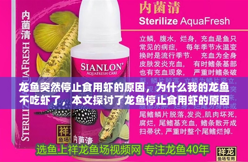 龍魚突然停止食用蝦的原因，為什么我的龍魚不吃蝦了，本文探討了龍魚停止食用蝦的原因 龍魚突然停止食用蝦的原因，為什么我的龍魚不吃蝦了，本文探討了龍魚停止食用蝦的原因 觀賞魚百科 第3張