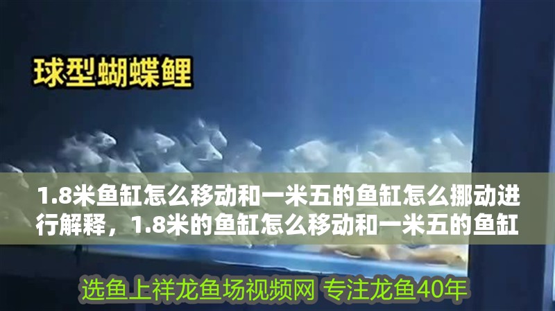 1.8米魚缸怎么移動和一米五的魚缸怎么挪動進行解釋，1.8米的魚缸怎么移動和一米五的魚缸怎么挪動