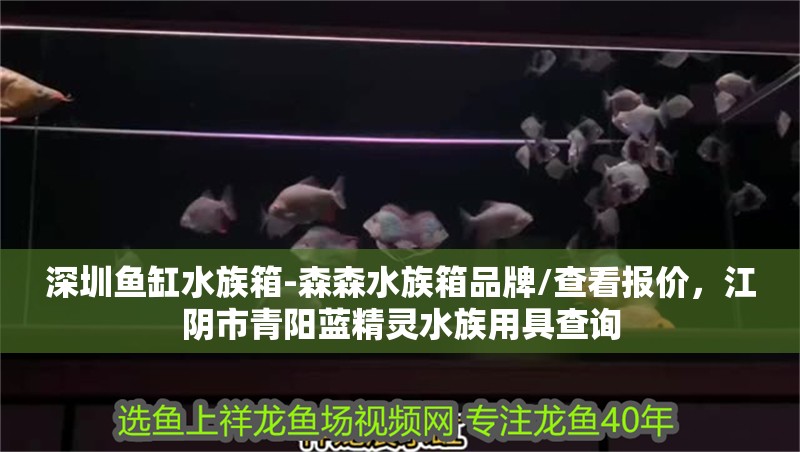 深圳魚缸水族箱-森森水族箱品牌/查看報價，江陰市青陽藍精靈水族用具查詢