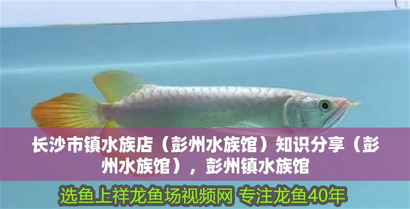 長沙市鎮水族店（彭州水族館）知識分享（彭州水族館），彭州鎮水族館