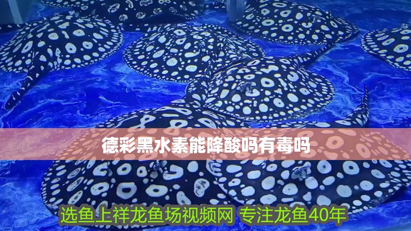 德彩<strong><mark>黑水</mark></strong>素能降酸嗎有毒嗎