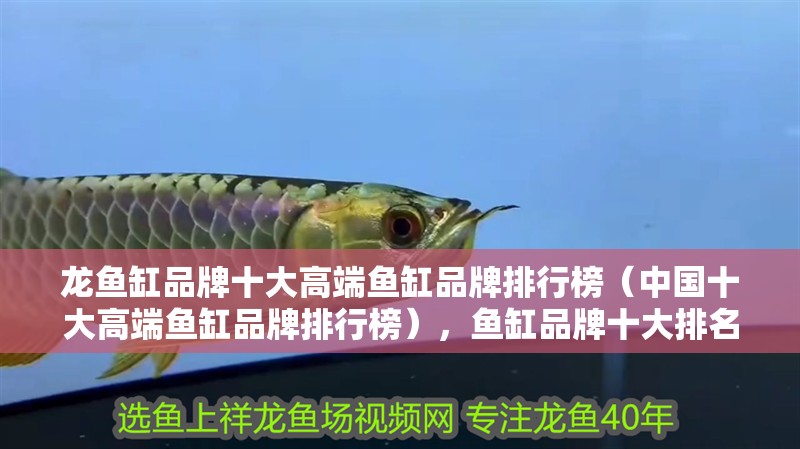 龍魚缸品牌十大高端魚缸品牌排行榜（中國十大高端魚缸品牌排行榜），魚缸品牌十大排名