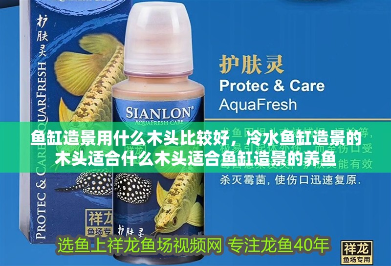 魚缸造景用什么木頭比較好，冷水魚缸造景的木頭適合什么木頭適合魚缸造景的養(yǎng)魚 魚缸造景用什么木頭比較好，冷水魚缸造景的木頭適合什么木頭適合魚缸造景的養(yǎng)魚 觀賞魚百科 第1張