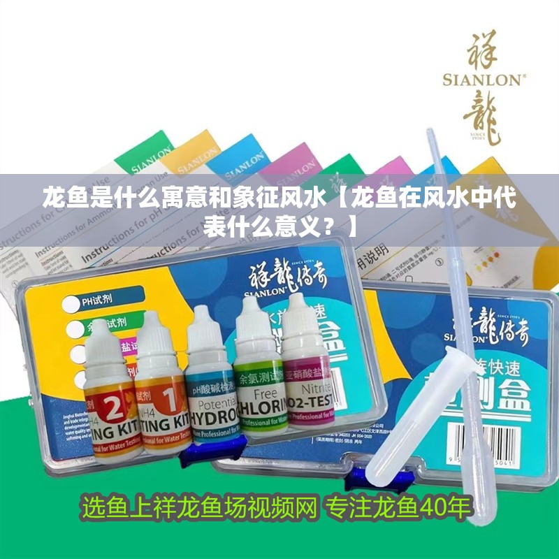 龍魚是什么寓意和象征風水【龍魚在風水中代表什么意義？】 龍魚是什么寓意和象征風水【龍魚在風水中代表什么意義？】 觀賞魚百科