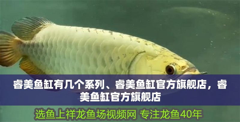 睿美魚缸有幾個(gè)系列、睿美魚缸官方旗艦店，睿美魚缸官方旗艦店