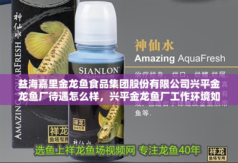 益海嘉里金龍魚食品集團股份有限公司興平金龍魚廠待遇怎么樣，興平金龍魚廠工作環境如何？