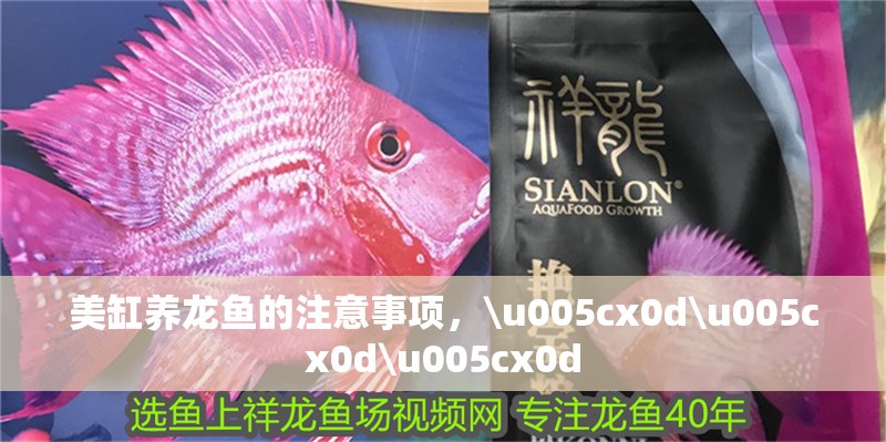 美缸養龍魚的注意事項，\u005cx0d\u005cx0d\u005cx0d 美缸養龍魚的注意事項，\u005cx0d\u005cx0d\u005cx0d 觀賞魚百科 第2張