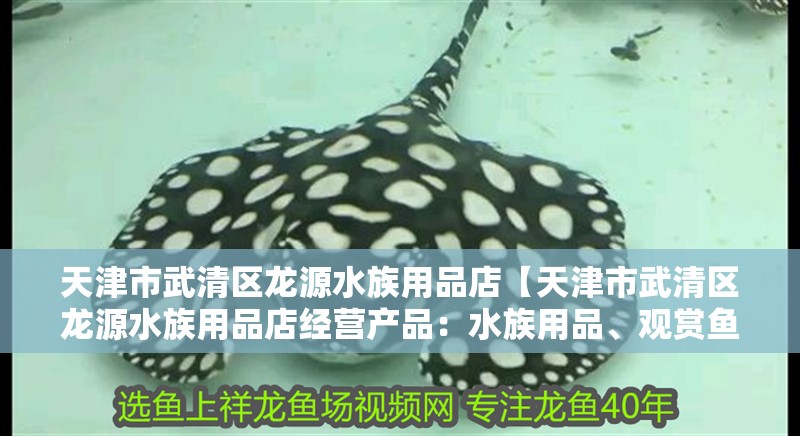 天津市<strong><mark>武清</mark></strong>區龍源水族用品店【天津市<strong><mark>武清</mark></strong>區龍源水族用品店經營產品：水族用品、觀賞魚零售】
