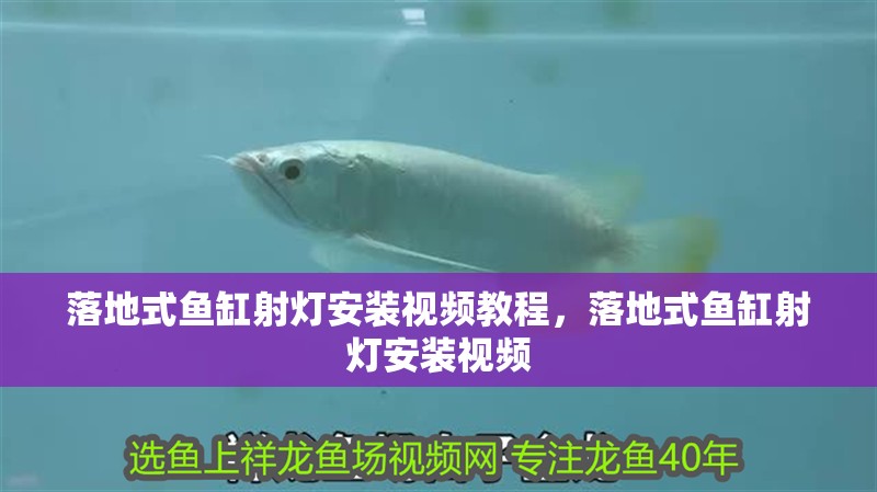 落地式魚缸射燈安裝視頻教程，落地式魚缸射燈安裝視頻