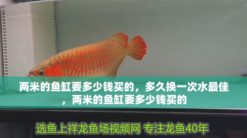 兩米的魚缸要多少錢買的，多久換一次水最佳，兩米的魚缸要多少錢買的
