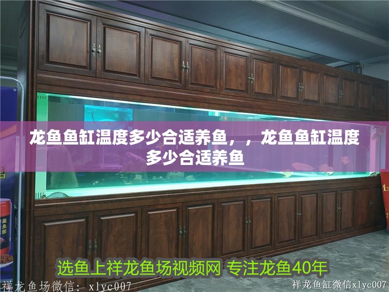 龍魚魚缸溫度多少合適養魚，，龍魚魚缸溫度多少合適養魚