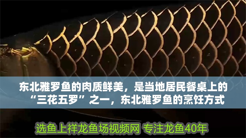 東北雅羅魚的肉質(zhì)鮮美，是當(dāng)?shù)鼐用癫妥郎系摹叭ㄎ辶_”之一，東北雅羅魚的烹飪方式