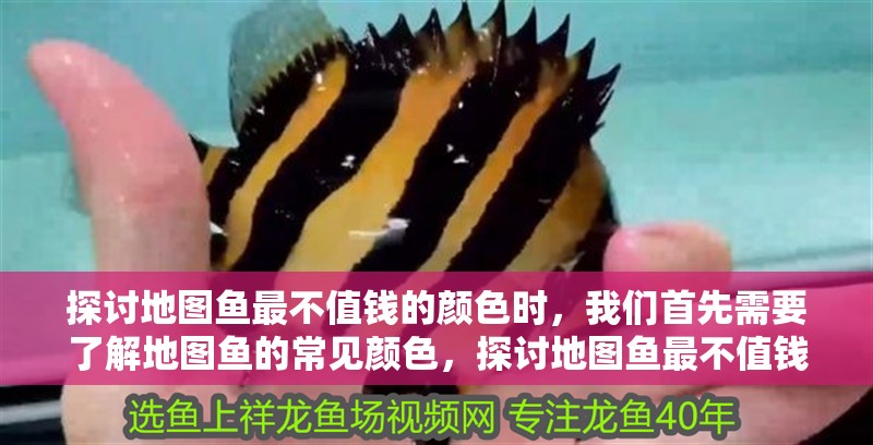 探討地圖魚最不值錢的顏色時(shí)，我們首先需要了解地圖魚的常見(jiàn)顏色，探討地圖魚最不值錢的顏色