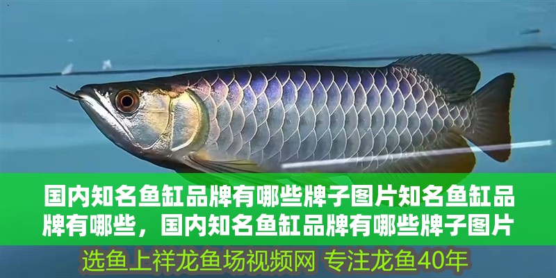國內知名魚缸品牌有哪些牌子圖片知名魚缸品牌有哪些，國內知名魚缸品牌有哪些牌子圖片