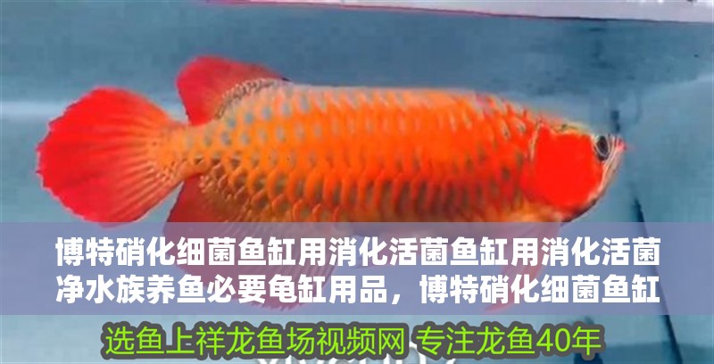博特硝化細菌魚缸用消化活菌魚缸用消化活菌凈水族養魚必要龜缸用品，博特硝化細菌魚缸用消化活菌凈水