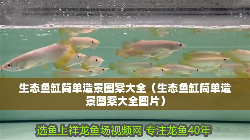 生態魚缸簡單造景圖案大全（生態魚缸簡單造景圖案大全圖片）