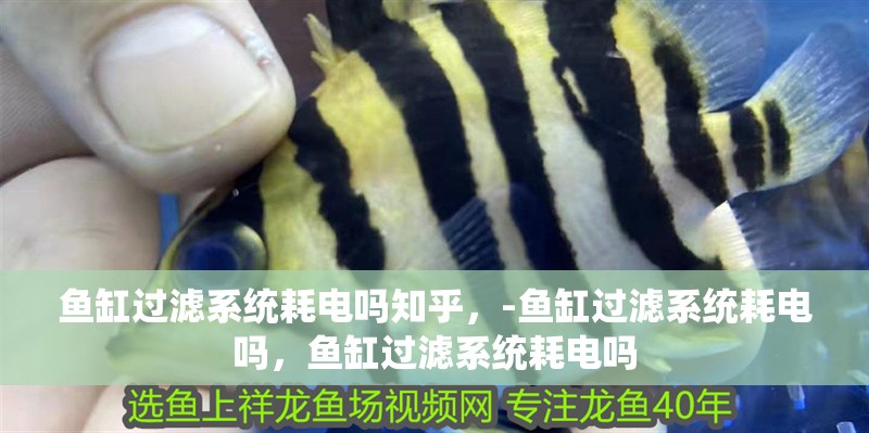 魚缸過濾系統耗電嗎知乎，-魚缸過濾系統耗電嗎，魚缸過濾系統耗電嗎