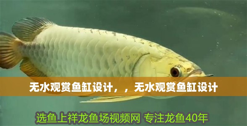 無水觀賞魚缸設計，，無水觀賞魚缸設計