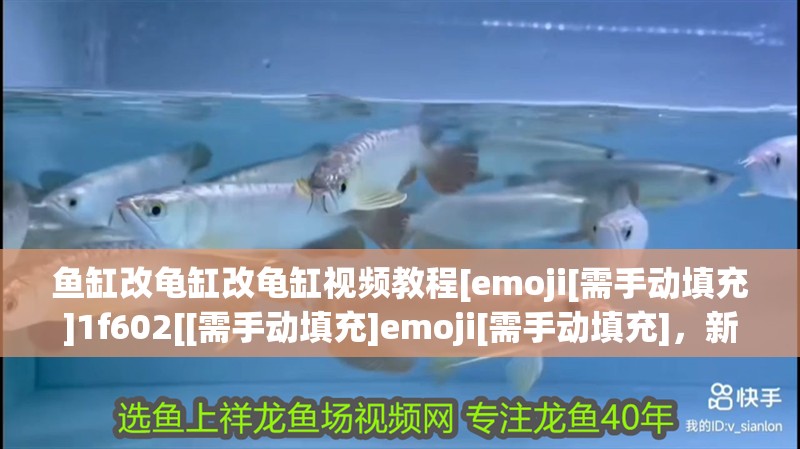 魚缸改龜缸改龜缸視頻教程[emoji[需手動填充]1f602[[需手動填充]emoji[需手動填充]，新手養(yǎng)寵物，如何選擇適合自己的魚缸