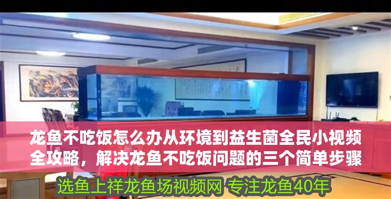 龍魚不吃飯怎么辦從環境到益生菌全民小視頻全攻略，解決龍魚不吃飯問題的三個簡單步驟