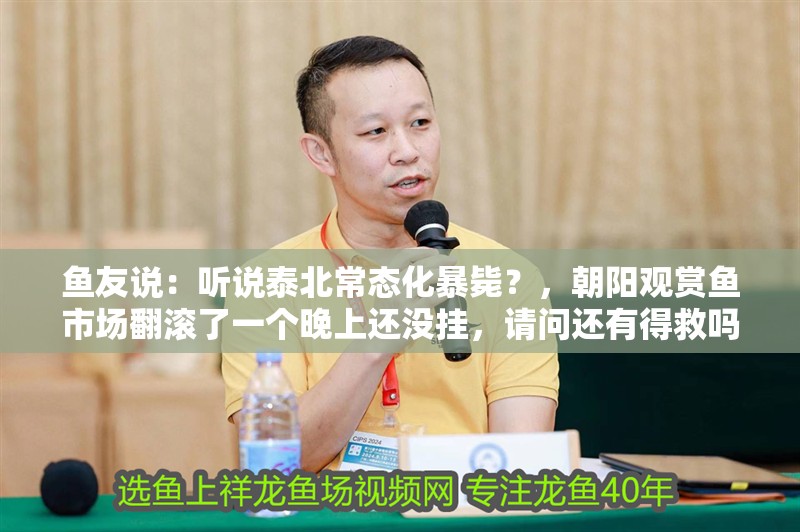 魚友說：聽說泰北常態化暴斃？，朝陽觀賞魚市場翻滾了一個晚上還沒掛，請問還有得救嗎