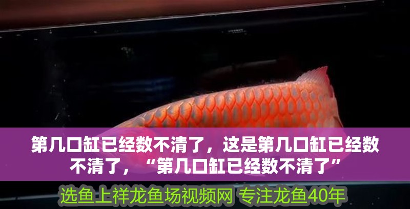 第幾口缸已經數不清了，這是第幾口缸已經數不清了，“第幾口缸已經數不清了”