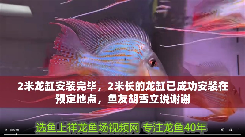 2米龍缸安裝完畢，2米長的龍缸已成功安裝在預定地點，魚友胡雪立說謝謝 2米龍缸安裝完畢，2米長的龍缸已成功安裝在預定地點，魚友胡雪立說謝謝 觀賞魚百科