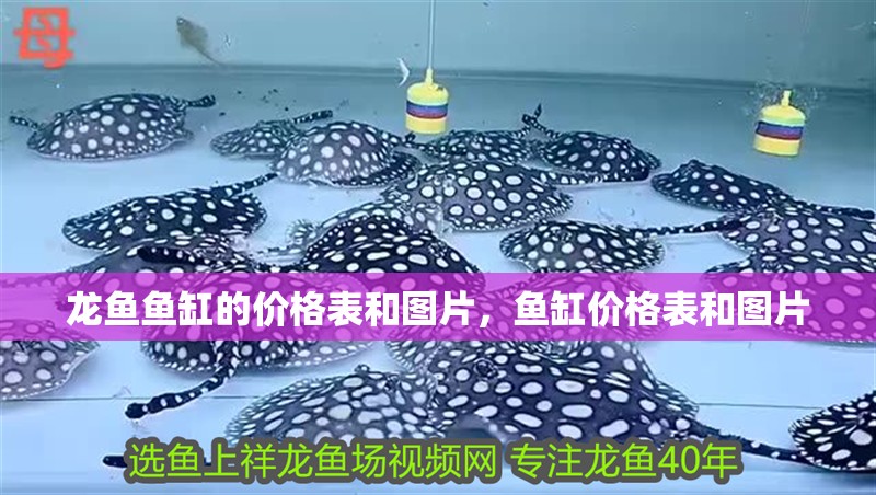 龍魚魚缸的價格表和圖片，魚缸價格表和圖片