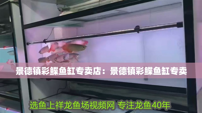 景德鎮彩鰈魚缸專賣店：景德鎮彩鰈魚缸專賣