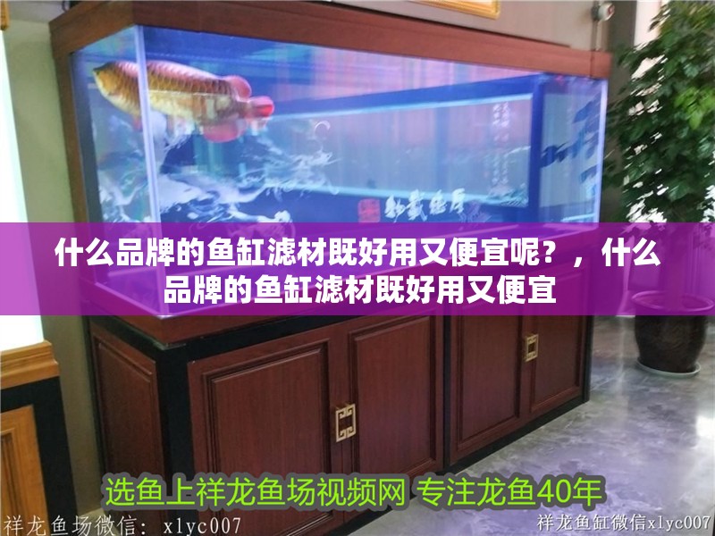 什么品牌的魚缸濾材既好用又便宜呢？，什么品牌的魚缸濾材既好用又便宜