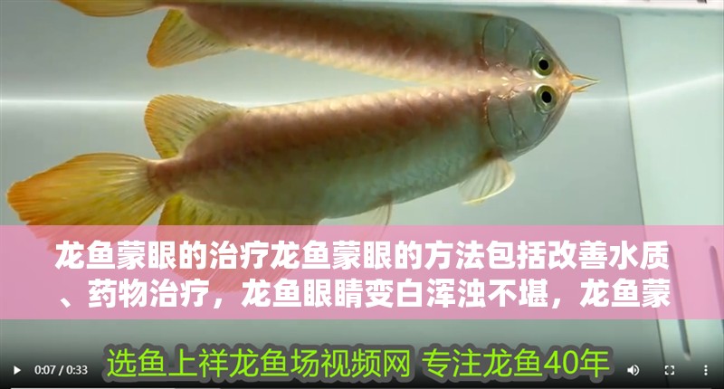 龍魚蒙眼的治療龍魚蒙眼的方法包括改善水質、藥物治療,龍魚眼睛變白渾濁不堪,龍魚蒙眼的治療一定要及時治療 觀賞魚百科 第1張 龍魚蒙眼的治療龍魚蒙眼的方法包括改善水質、藥物治療,龍魚眼睛變白渾濁不堪,龍魚蒙眼的治療一定要及時治療 龍魚蒙眼的治療龍魚蒙眼的方法包括改善水質、藥物治療,龍魚眼睛變白渾濁不堪,龍魚蒙眼的治療一定要及時治療 觀賞魚百科 第1張