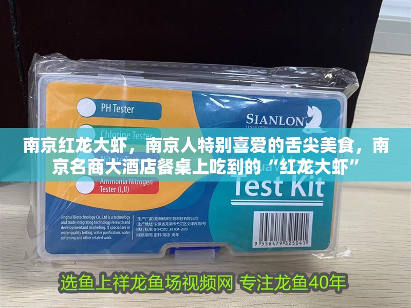 南京紅龍大蝦，南京人特別喜愛的舌尖美食，南京名商大酒店餐桌上吃到的“紅龍大蝦”