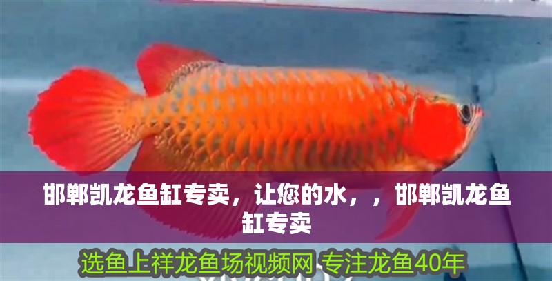 邯鄲凱龍魚缸專賣，讓您的水，，邯鄲凱龍魚缸專賣