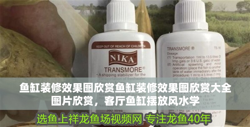 魚缸裝修效果圖欣賞魚缸裝修效果圖欣賞大全圖片欣賞，客廳魚缸擺放風水學 魚缸裝修效果圖欣賞魚缸裝修效果圖欣賞大全圖片欣賞，客廳魚缸擺放風水學 觀賞魚百科 第2張