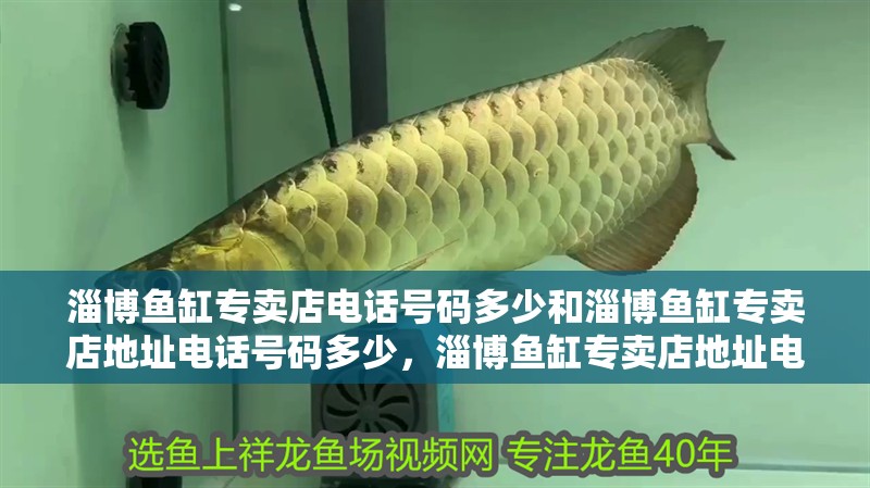 淄博魚缸專賣店電話號碼多少和淄博魚缸專賣店地址電話號碼多少，淄博魚缸專賣店地址電話號碼多少