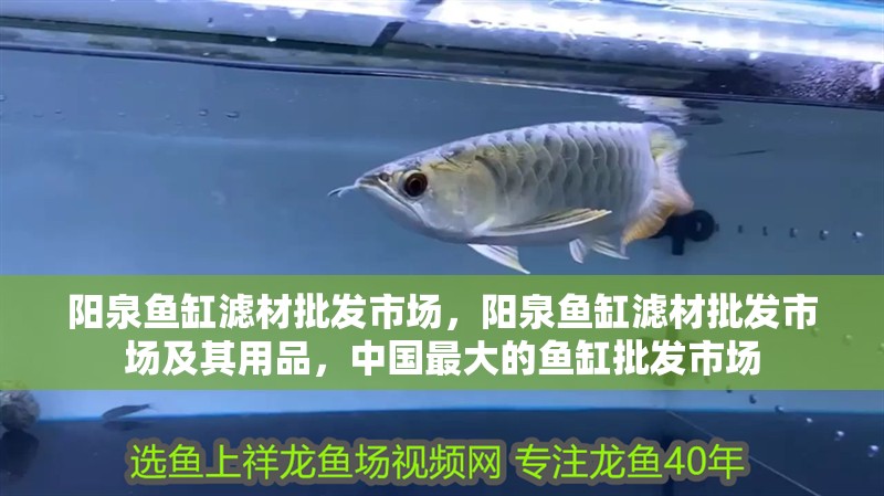 陽泉魚缸濾材批發市場，陽泉魚缸濾材批發市場及其用品，中國最大的魚缸批發市場 陽泉魚缸濾材批發市場，陽泉魚缸濾材批發市場及其用品，中國最大的魚缸批發市場 觀賞魚百科 第2張