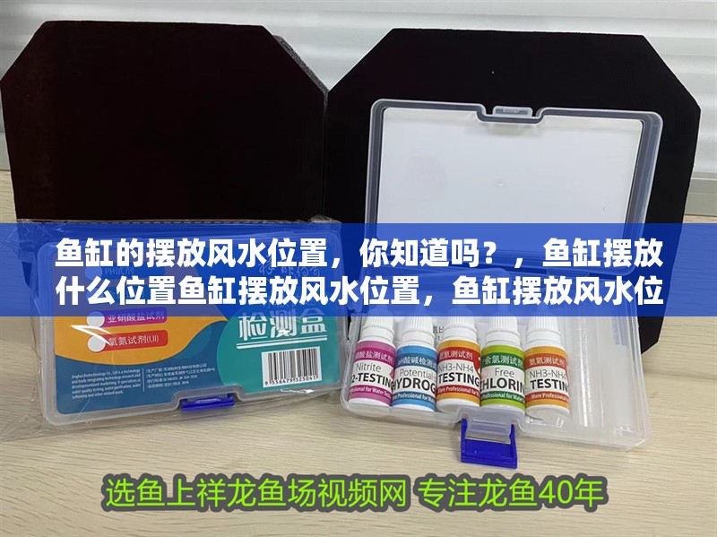 魚缸的擺放風水位置，你知道嗎？，魚缸擺放什么位置魚缸擺放風水位置，魚缸擺放風水位置