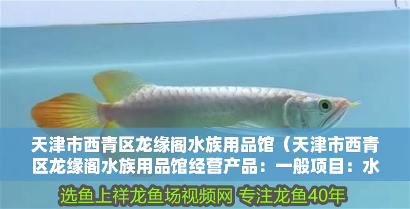 天津市西青區(qū)龍緣閣水族用品館（天津市西青區(qū)龍緣閣水族用品館經(jīng)營(yíng)產(chǎn)品：一般項(xiàng)目：水產(chǎn)品批發(fā)）