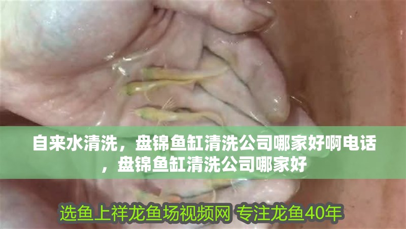 自來水清洗，盤錦魚缸清洗公司哪家好啊電話，盤錦魚缸清洗公司哪家好