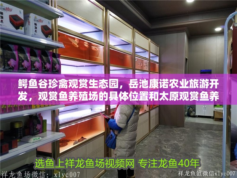鱷魚谷珍禽觀賞生態園，岳池康諾農業旅游開發，觀賞魚養殖場的具體位置和太原觀賞魚養殖基地的具體位置