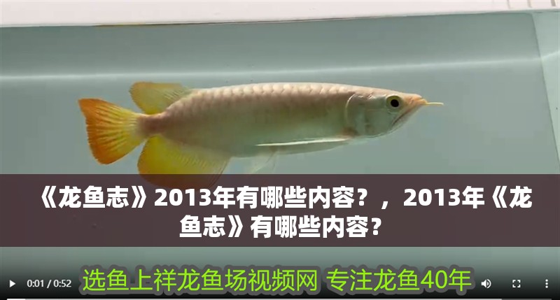 《龍魚志》2013年有哪些內(nèi)容？，2013年《龍魚志》有哪些內(nèi)容？ 《龍魚志》2013年有哪些內(nèi)容？，2013年《龍魚志》有哪些內(nèi)容？ 觀賞魚百科 第6張