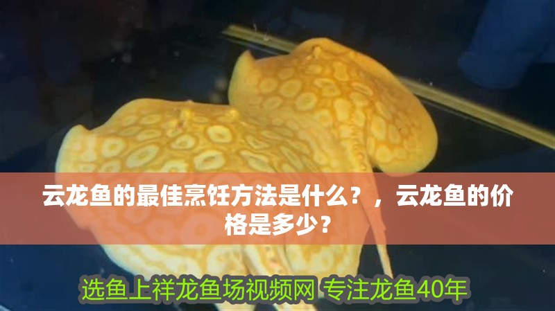 云龍魚的最佳烹飪方法是什么？，云龍魚的價格是多少？